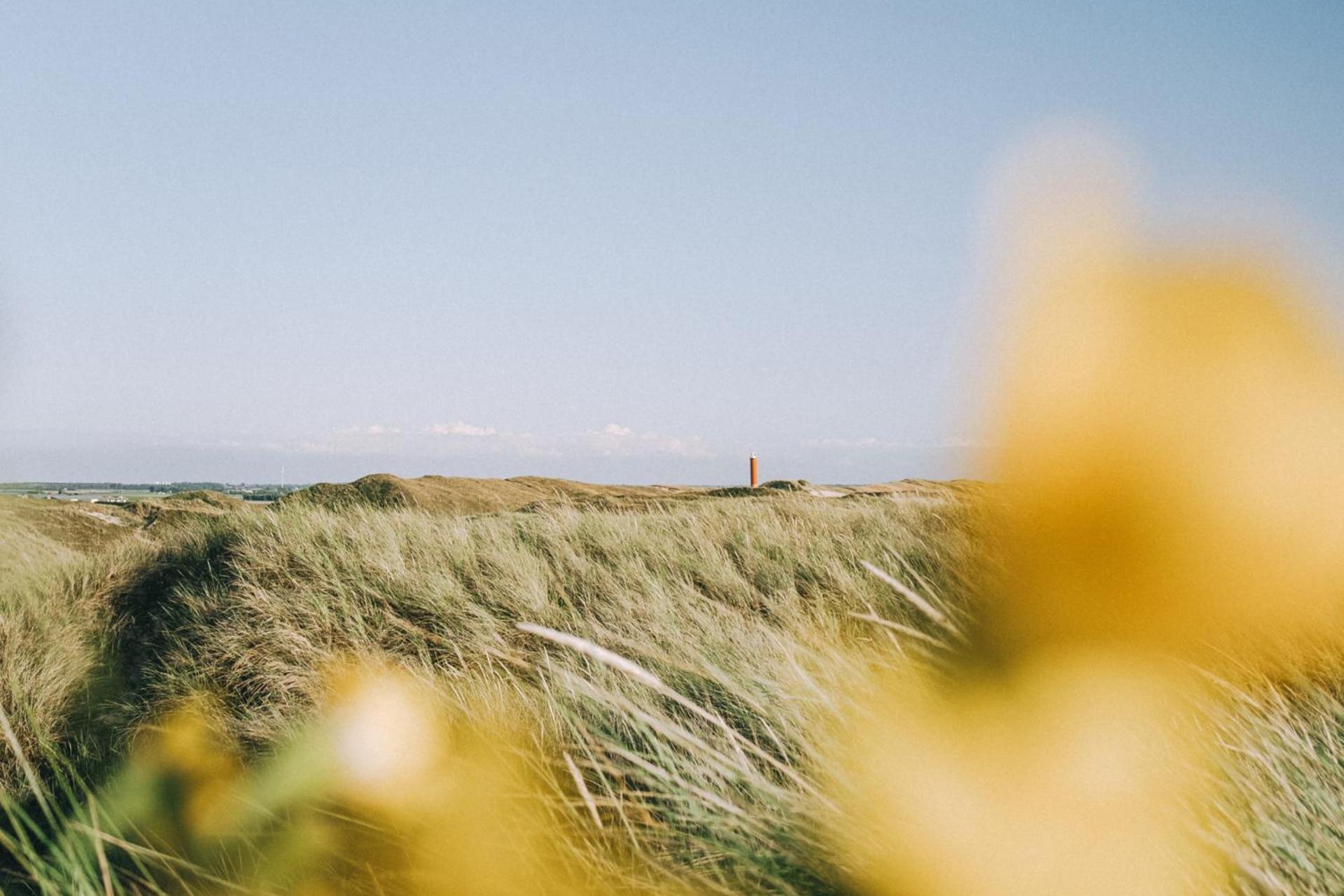 De Duintuin - In De Duinen, Groote Keeten Aan Zee Callantsoog Esterno foto