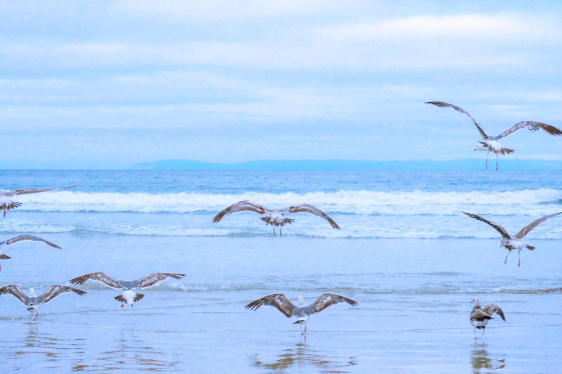 De Duintuin - In De Duinen, Groote Keeten Aan Zee Callantsoog Esterno foto