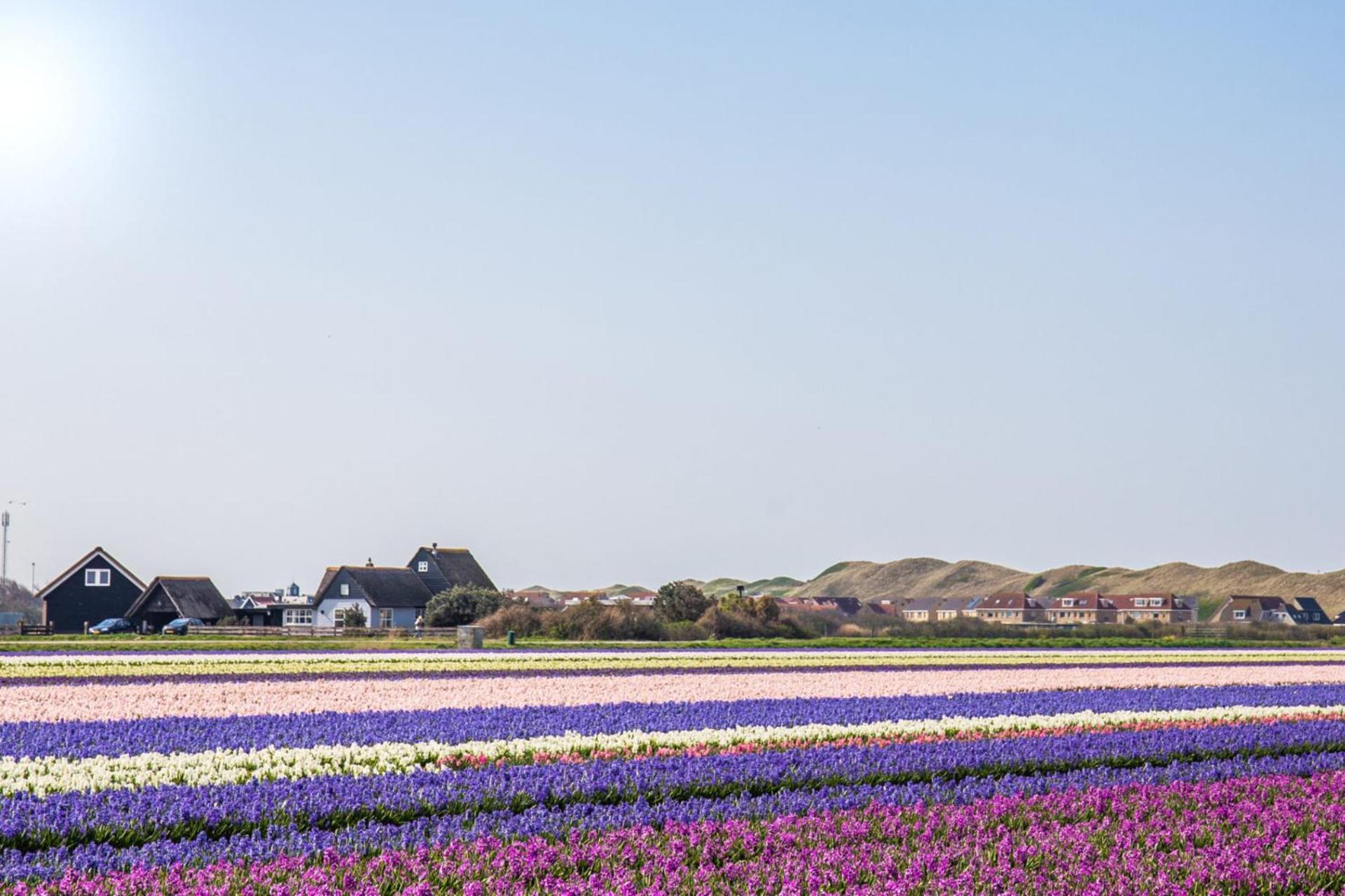 De Duintuin - In De Duinen, Groote Keeten Aan Zee Callantsoog Esterno foto